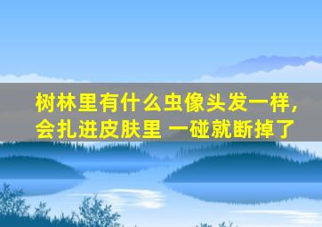 树林里有什么虫像头发一样,会扎进皮肤里 一碰就断掉了